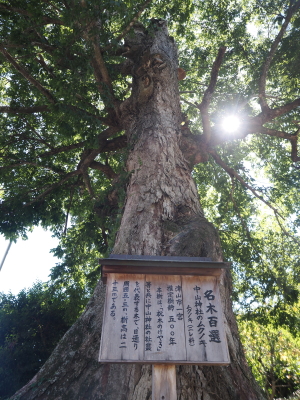 中山神社