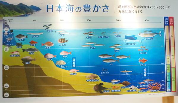 鳴き砂文化館