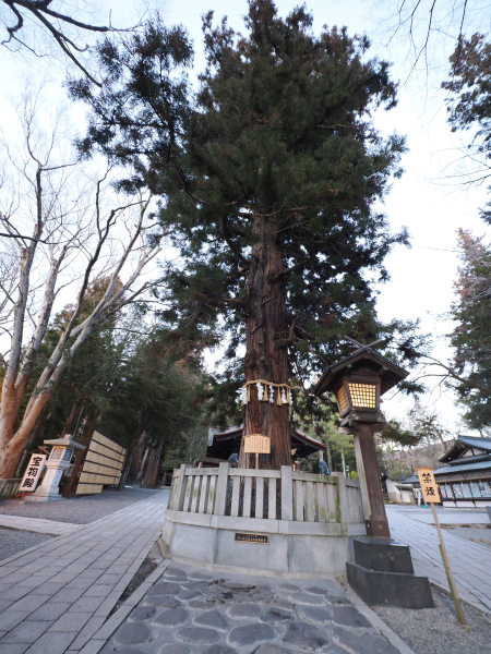 諏訪大社 下社 秋宮