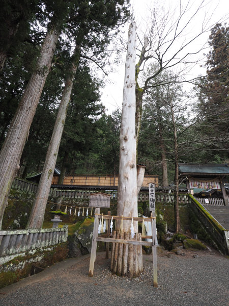 諏訪大社 上社 本宮