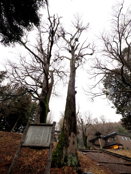 諏訪大社 上社 前宮